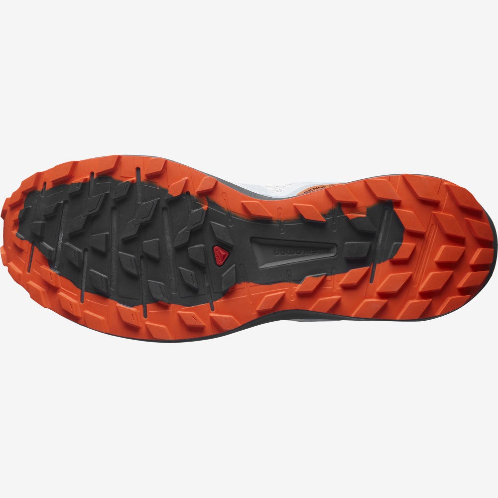 SALOMON Men's SENSE RIDE 4